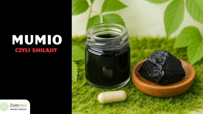 mumio shilajit