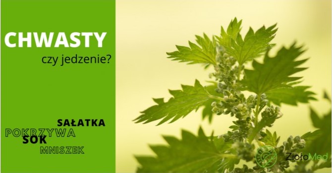 zioła lekarskie kuchnia